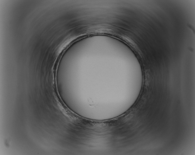 X0000102021031200807180938