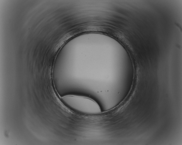 X0000102021033200807180938