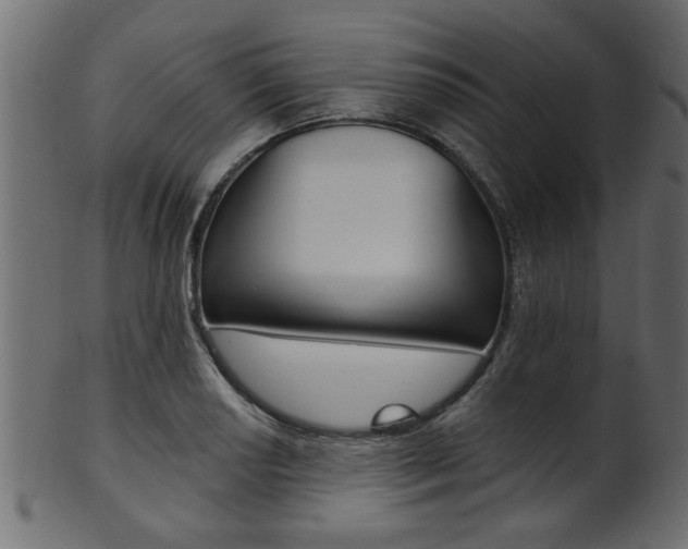 X0000102021034200807180938