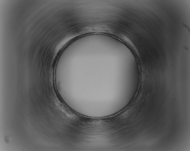 X0000102021035200807180938