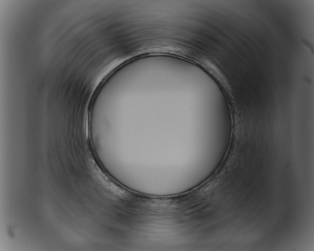 X0000102021036200807180938