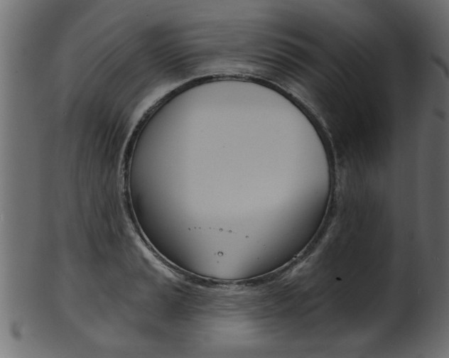 X0000102021037200807180938