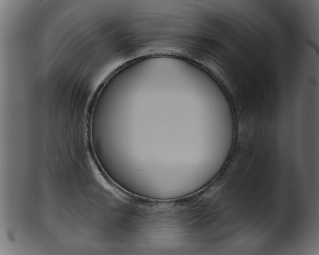 X0000102021038200807180938