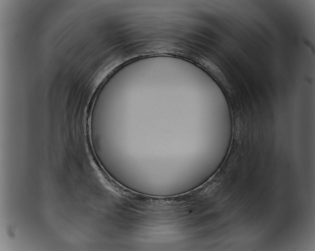 X0000102021039200807180938