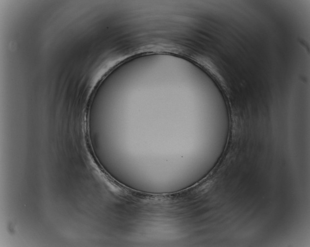 X0000102021040200807180938