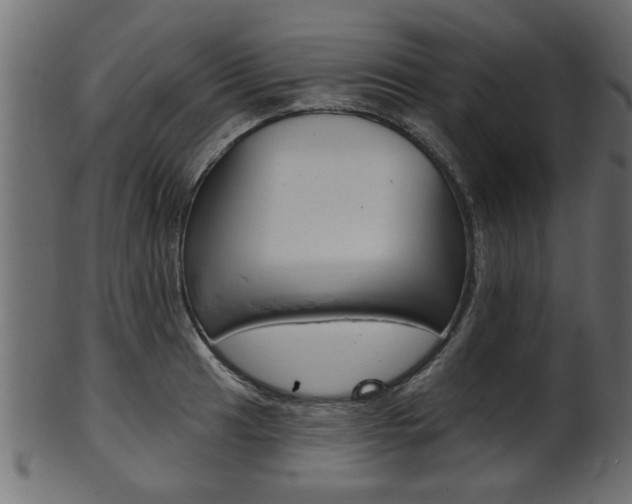 X0000102021041200807180938