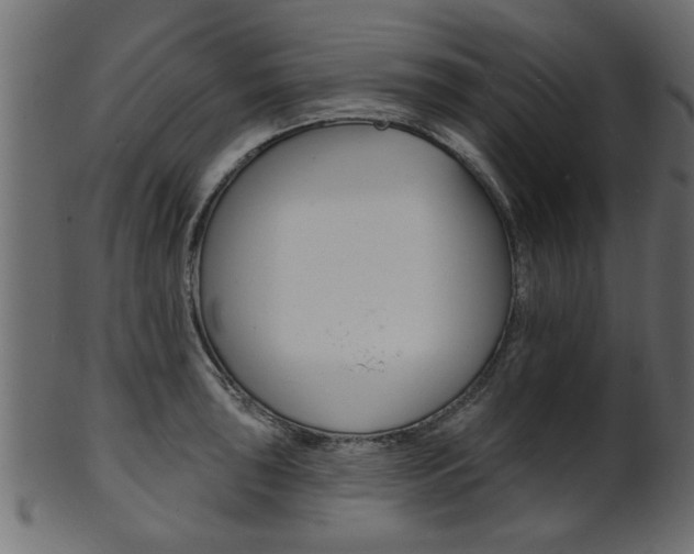 X0000102021043200807180938