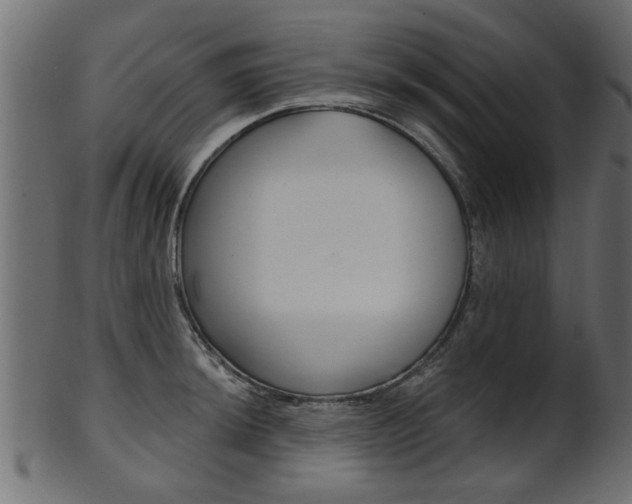 X0000102021044200807180938