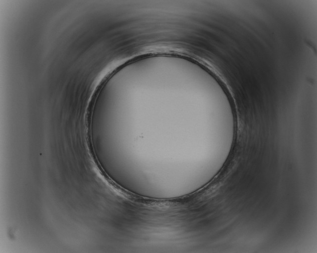 X0000102021045200807180938