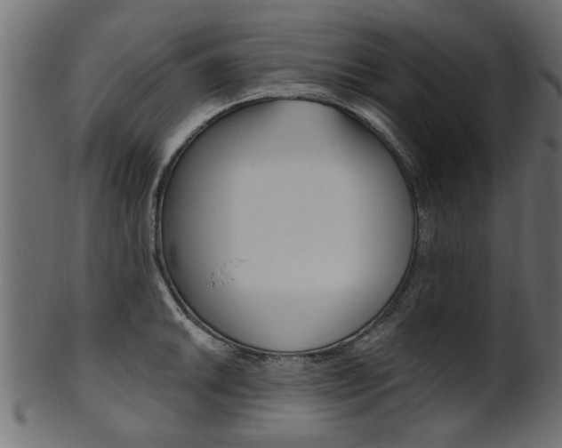 X0000102021046200807180938