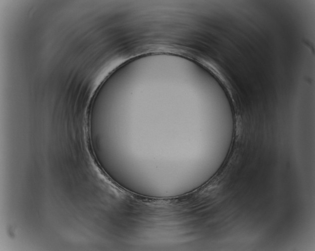 X0000102021048200807180938
