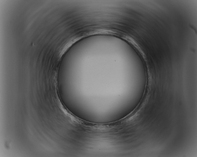 X0000102021049200807180938