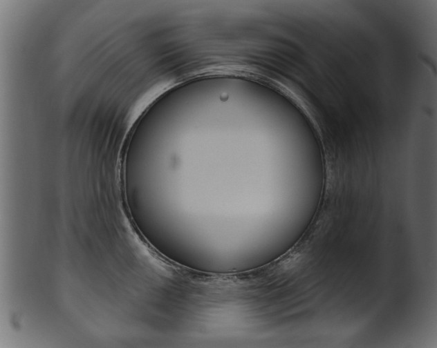 X0000102021050200807180938