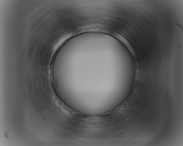 X0000102021051200807180938