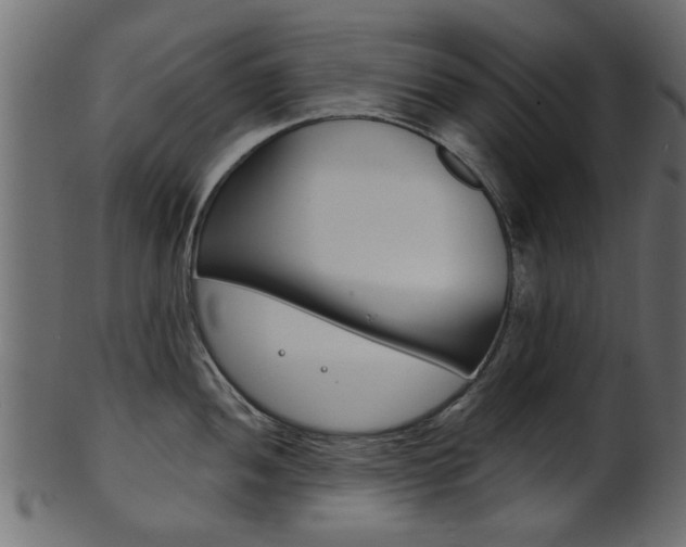 X0000102021052200807180938