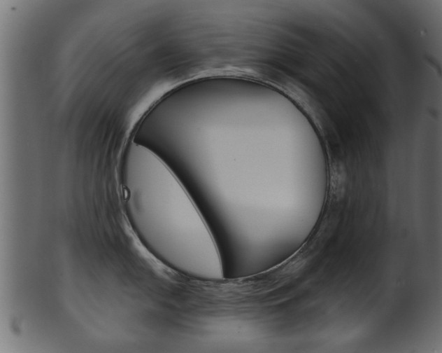 X0000102021054200807180938