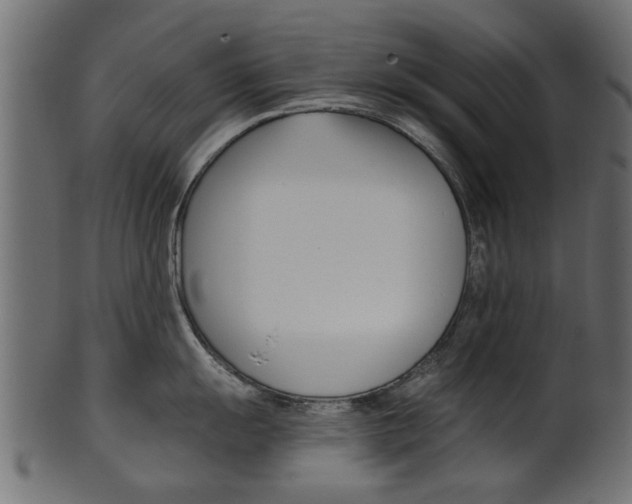 X0000102021055200807180938