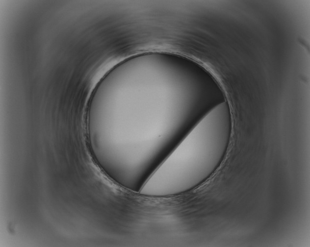 X0000102021056200807180938