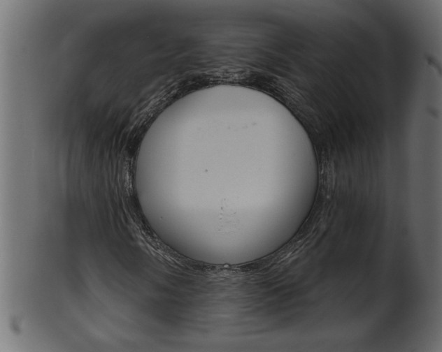 X0000102021058200807180938