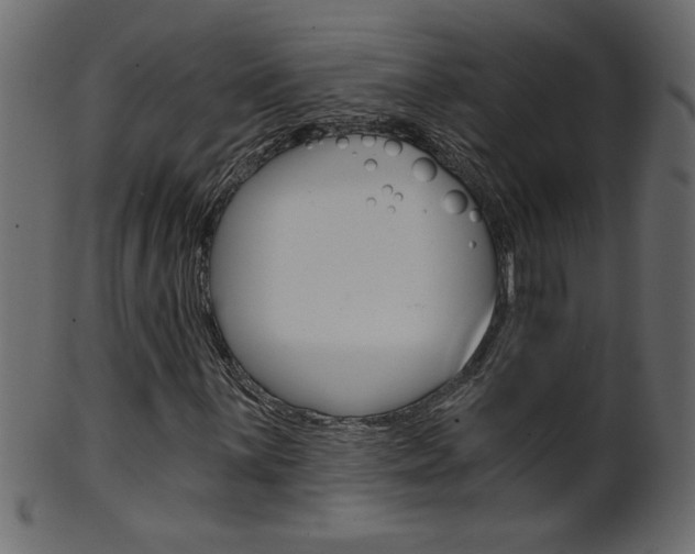 X0000102021059200807180938