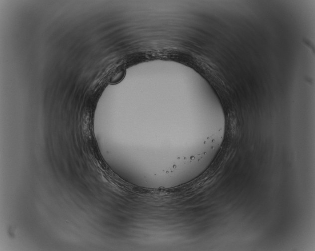 X0000102021060200807180938
