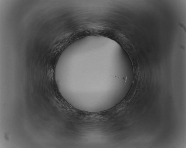 X0000102021061200807180938