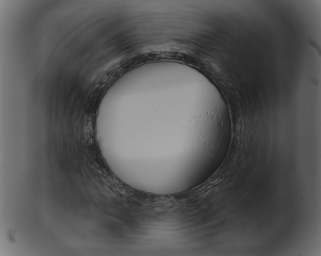 X0000102021062200807180938