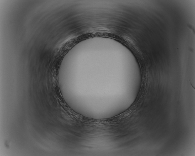 X0000102021063200807180938