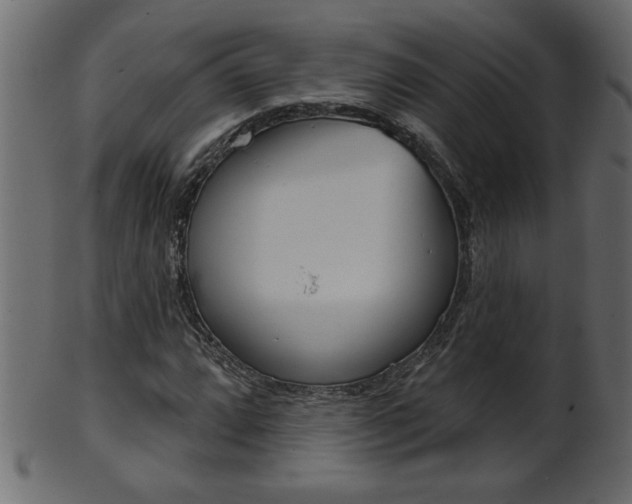 X0000102021064200807180938