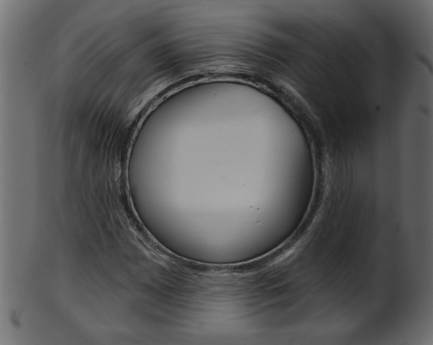 X0000102021065200807180938