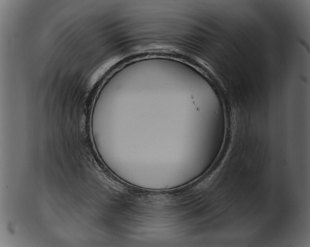 X0000102021066200807180938