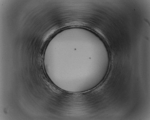 X0000102021067200807180938