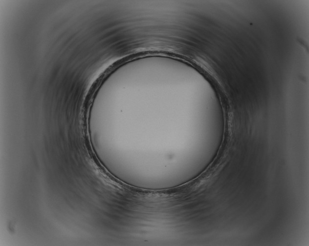 X0000102021068200807180938