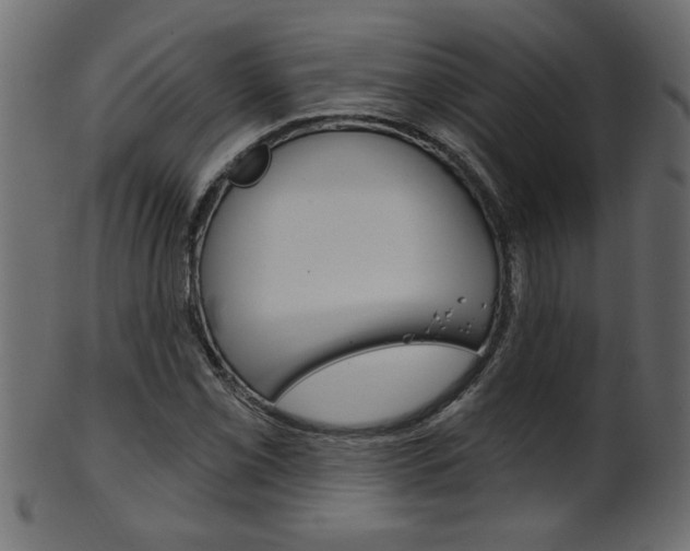 X0000102021069200807180938