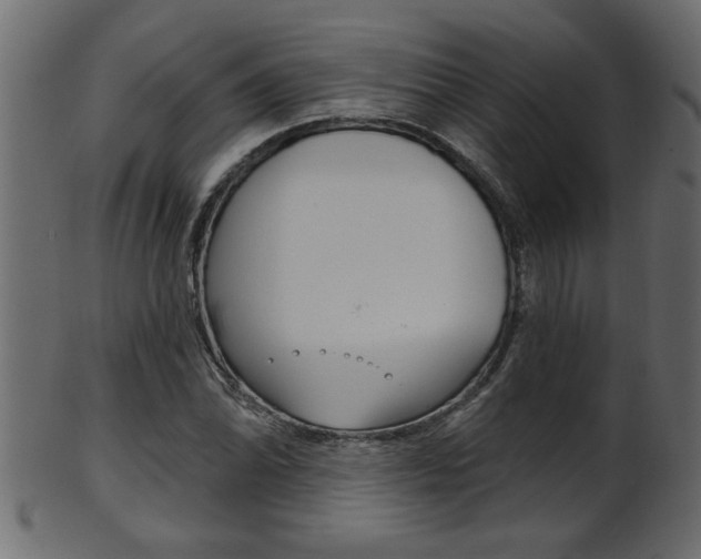 X0000102021070200807180938