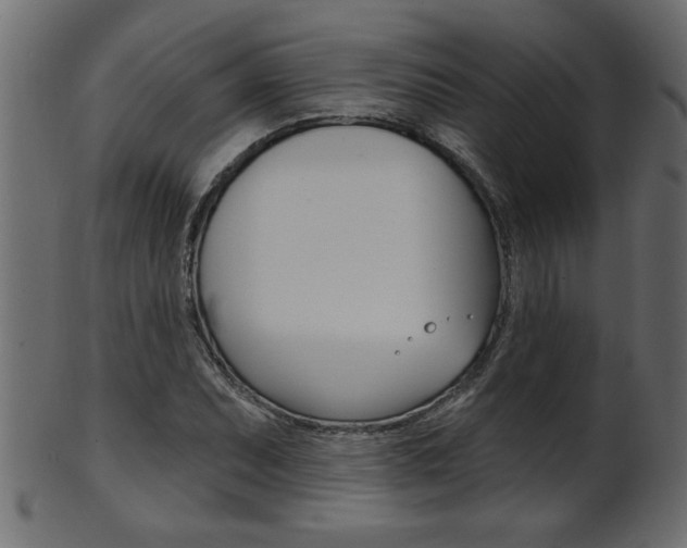 X0000102021071200807180938