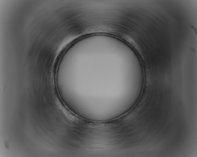 X0000102021072200807180938