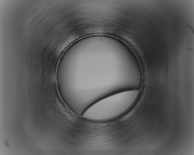 X0000102021073200807180938