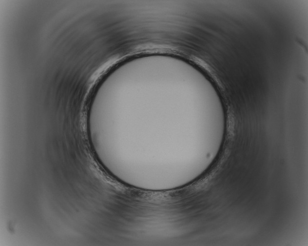 X0000102021074200807180937
