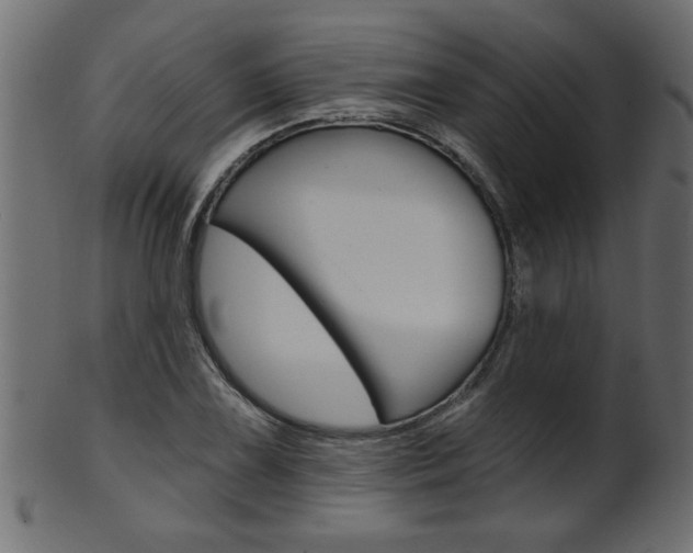 X0000102021075200807180937