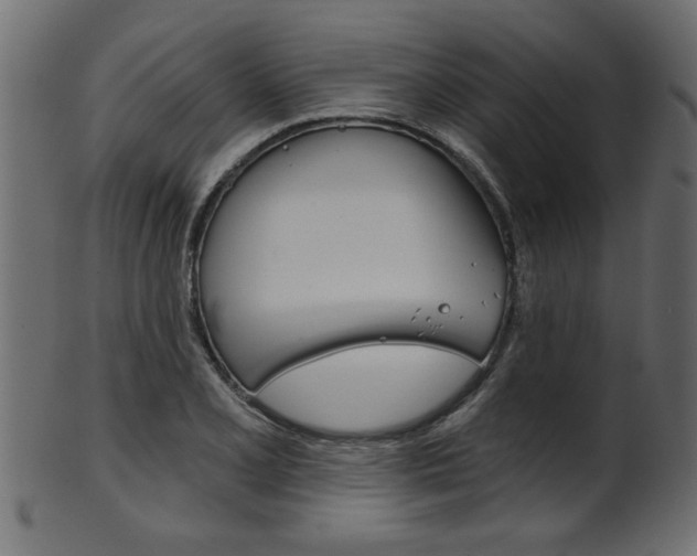 X0000102021077200807180937