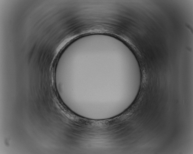 X0000102021078200807180937