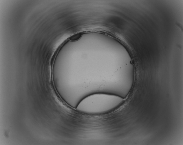 X0000102021079200807180937