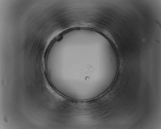 X0000102021080200807180937