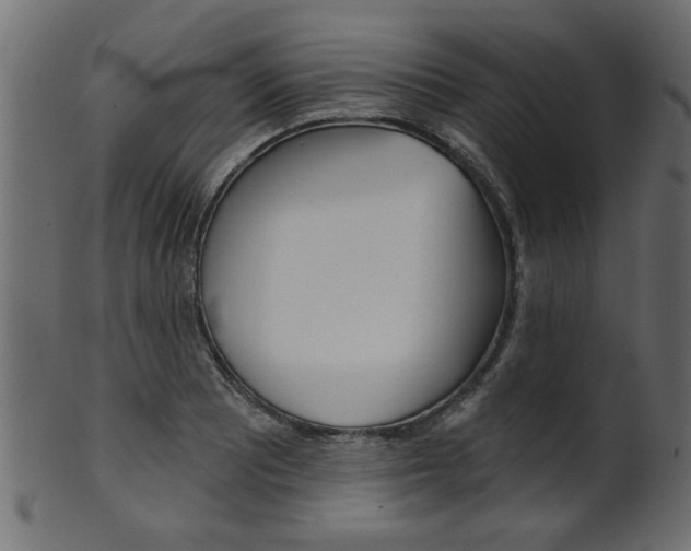 X0000102021081200807180937