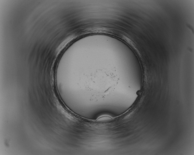 X0000102021082200807180937