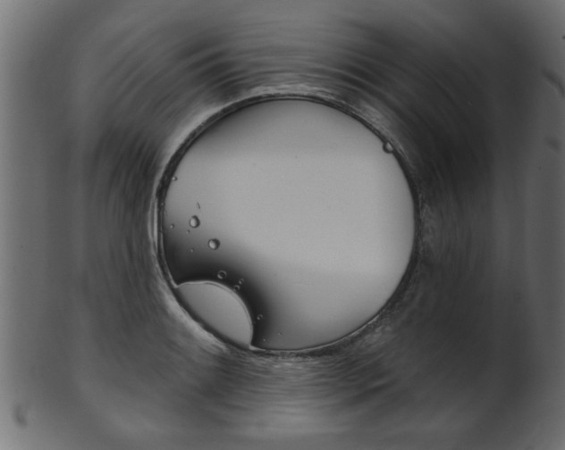 X0000102021084200807180937