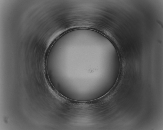 X0000102021085200807180937