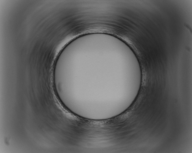 X0000102021086200807180937