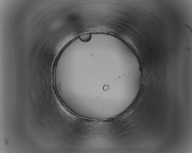 X0000102021087200807180937